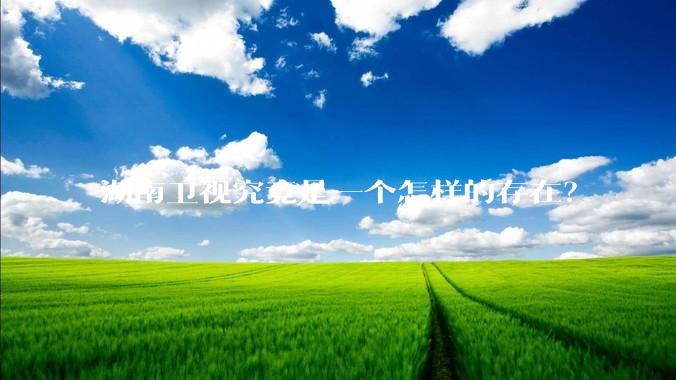 湖南卫视究竟是一个怎样的存在？