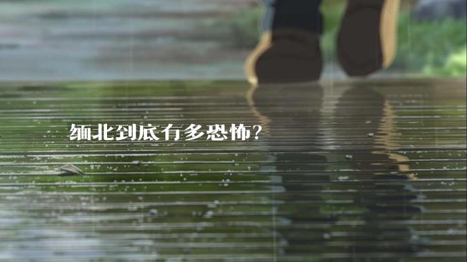 缅北到底有多恐怖？